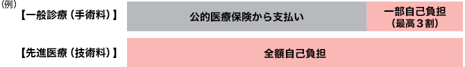 例:一般療養(手術料)、先進医療(技術料)