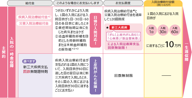 がん治療給付型 1