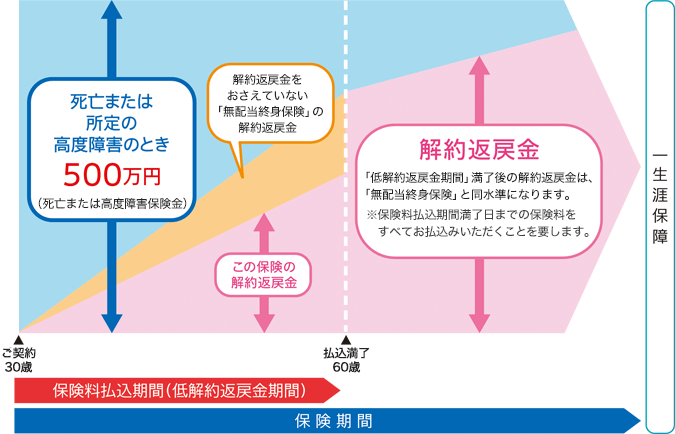 無配当低解約返戻金型終身保険 仕組図