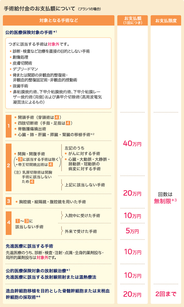 遺族年金(高度障害年金)受取総額イメージ図