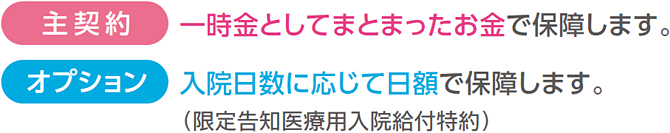入院時の医療費の自己負担分や諸雑費などに備えて、必要な保障だけを選べます