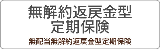 企業・法人保険 - 無解約返戻金型定期保険