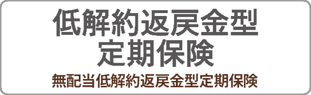 企業・法人保険 - 低解約返戻金型定期保険