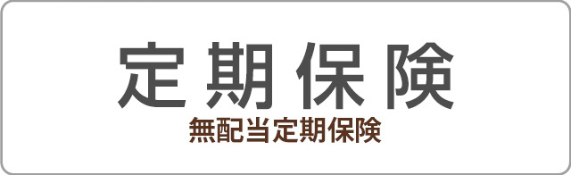 企業・法人保険 - 定期保険