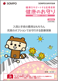 健康をサポートする医療保険 健康のお守り パンフレット